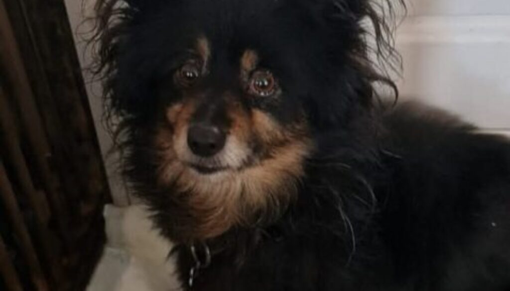 IMG-20250823-WA0003 IMG-20250823-WA0003