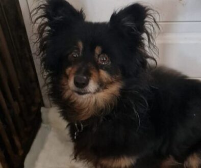 IMG-20250823-WA0003 IMG-20250823-WA0003