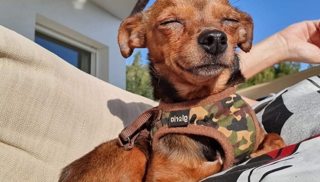 IMG-20250823-WA0012 IMG-20250823-WA0012