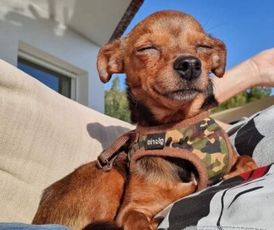 IMG-20250823-WA0012 IMG-20250823-WA0012