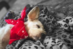 IMG-20250823-WA0015 IMG-20250823-WA0015