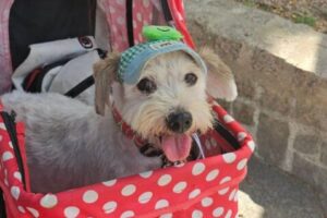 IMG-20250823-WA0016 IMG-20250823-WA0016