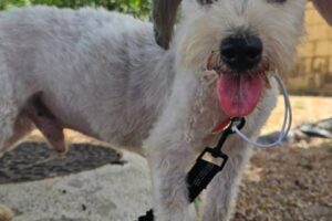 IMG-20250823-WA0017 IMG-20250823-WA0017