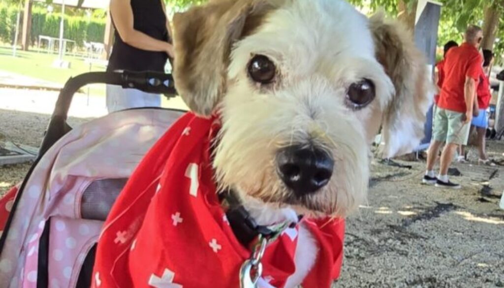 IMG-20250823-WA0018 IMG-20250823-WA0018