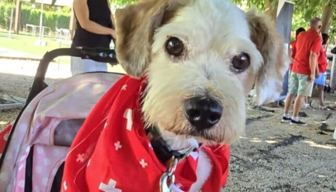 IMG-20250823-WA0018 IMG-20250823-WA0018