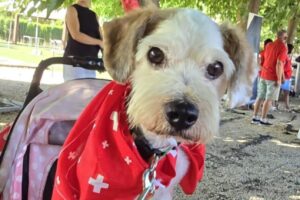 IMG-20250823-WA0018 IMG-20250823-WA0018