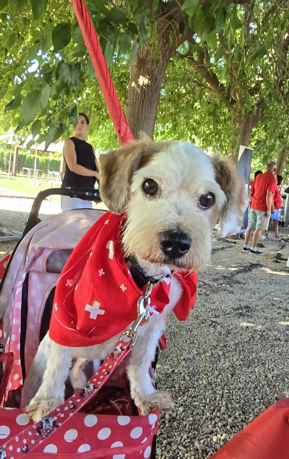 IMG-20250823-WA0018 IMG-20250823-WA0018