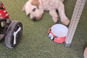 IMG-20250906-WA0002 IMG-20250906-WA0002