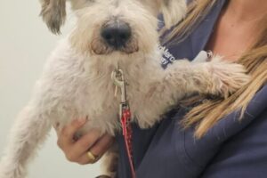 IMG-20250906-WA0003 IMG-20250906-WA0003