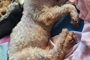 IMG-20250906-WA0004 IMG-20250906-WA0004