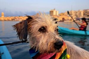 IMG-20250906-WA0006 IMG-20250906-WA0006