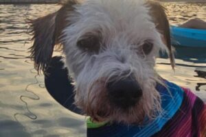 IMG-20250906-WA0008 IMG-20250906-WA0008