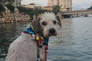 IMG-20250906-WA0009 IMG-20250906-WA0009