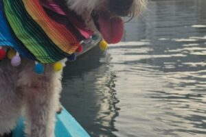 IMG-20250906-WA0010 IMG-20250906-WA0010