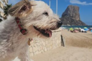 WhatsApp Bild 2025-09-06 um 15.45.13_63d826be WhatsApp Bild 2025-09-06 um 15.45.13_63d826be