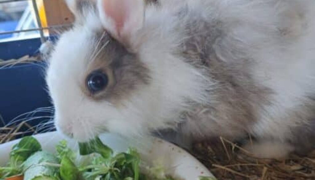 IMG-20250906-WA0016 IMG-20250906-WA0016