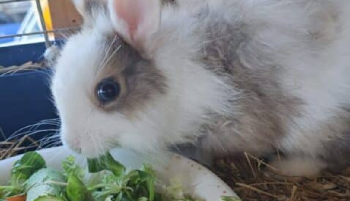 IMG-20250906-WA0016 IMG-20250906-WA0016