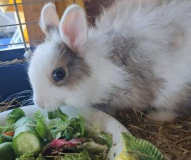 IMG-20250906-WA0016 IMG-20250906-WA0016