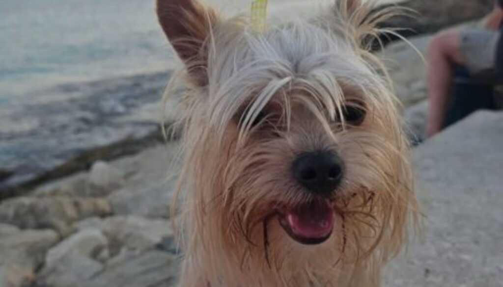 WhatsApp Bild 2025-09-06 um 16.15.17_486a33f9 WhatsApp Bild 2025-09-06 um 16.15.17_486a33f9