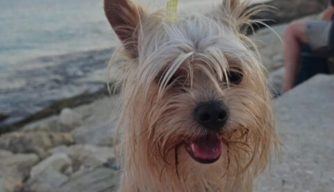 WhatsApp Bild 2025-09-06 um 16.15.17_486a33f9 WhatsApp Bild 2025-09-06 um 16.15.17_486a33f9