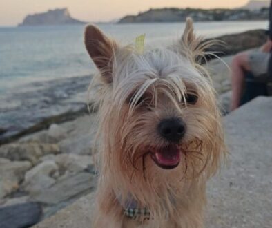 WhatsApp Bild 2025-09-06 um 16.15.17_486a33f9 WhatsApp Bild 2025-09-06 um 16.15.17_486a33f9